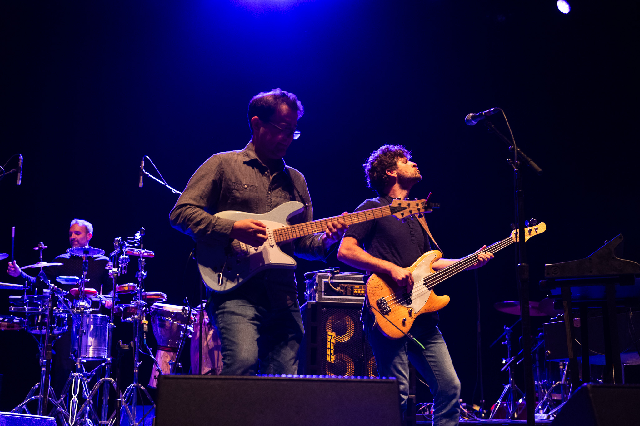 Snarky Puppy